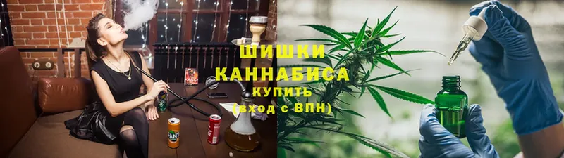 MEGA зеркало  купить наркотик  Тавда  МАРИХУАНА индика 